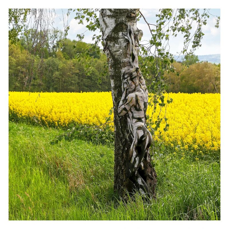 NatureArt Rapeseed Birches