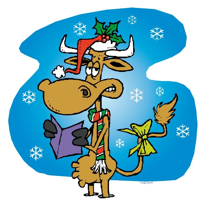 Vache Père Noël *drôle*