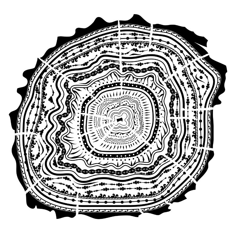 Wooden disc with bark - tree rings