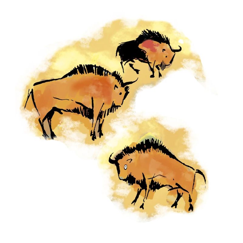 Bison