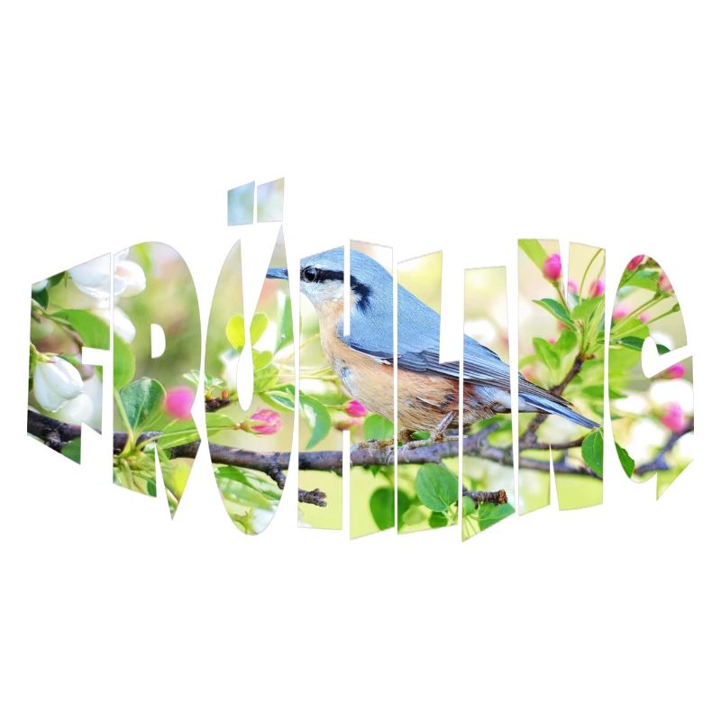 spring 1