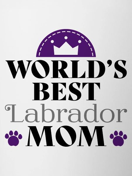 Labrador