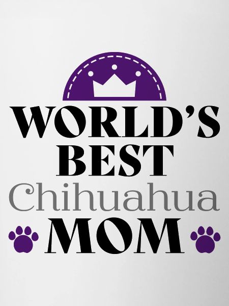 Chiahuahua