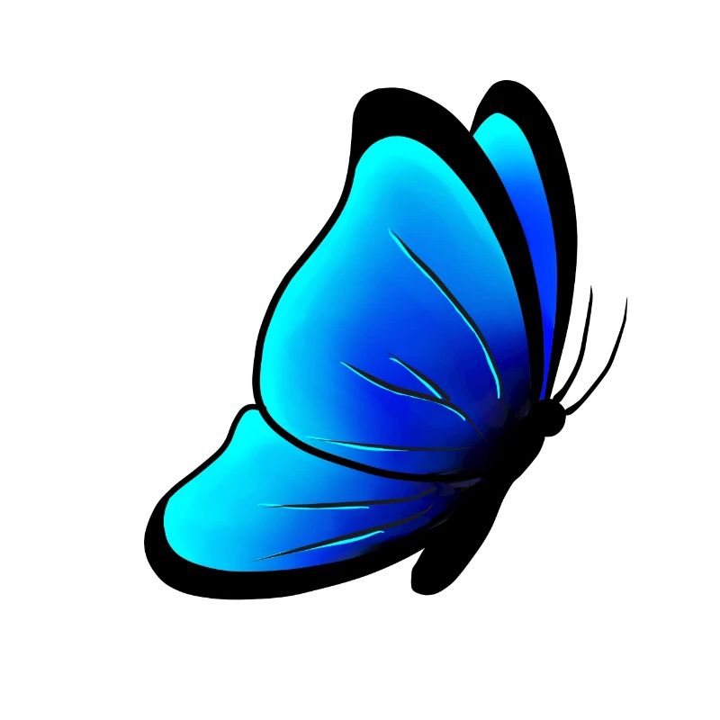 Blauer Schmetterling