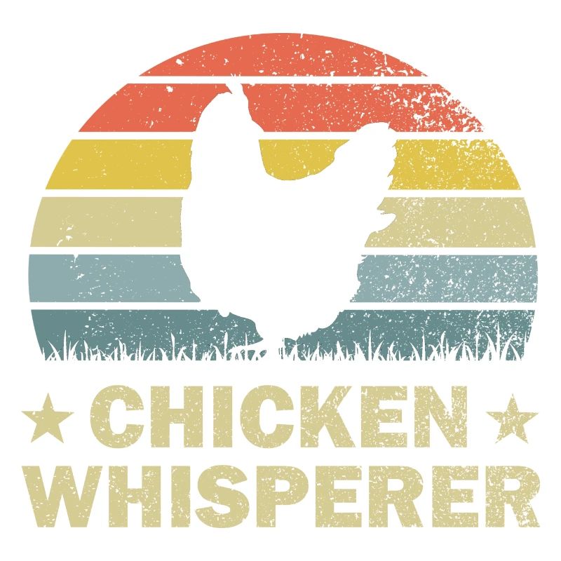 Chicken chickens