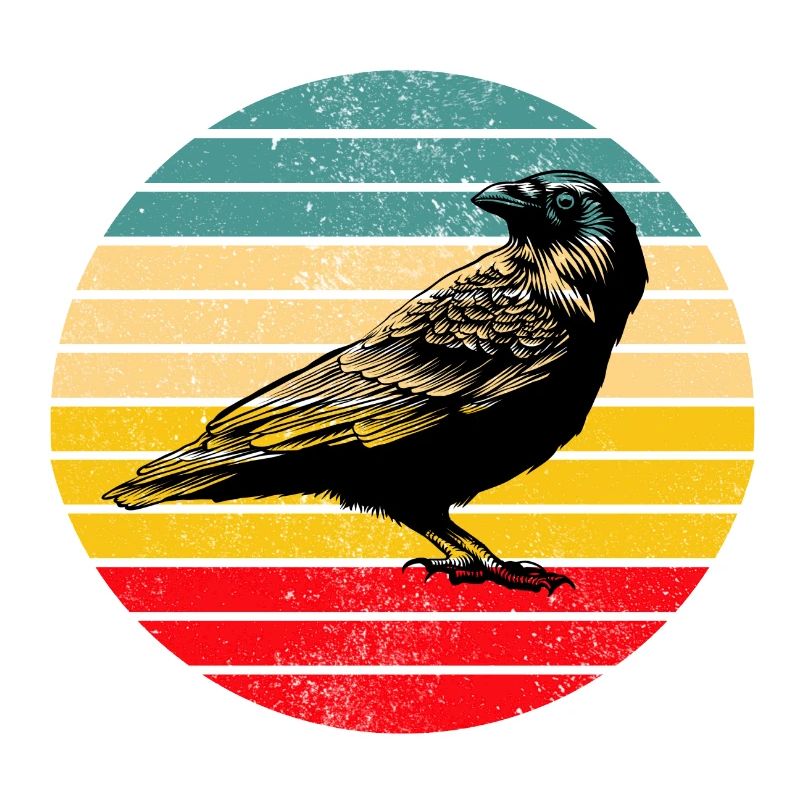 Raven crow bird