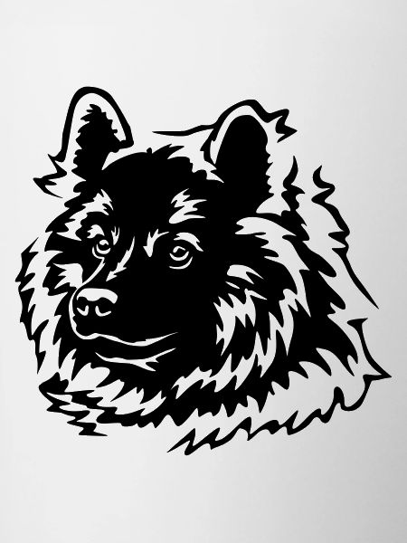 Eurasian Head