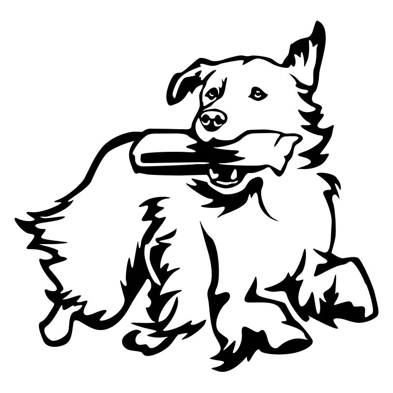 Golden Retriever