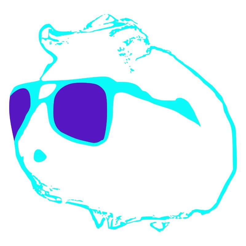 Un cochon d’Inde cool