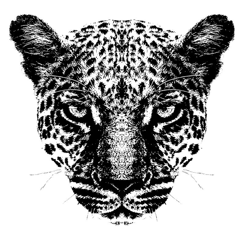 Leopard / Kopf / Schwarz