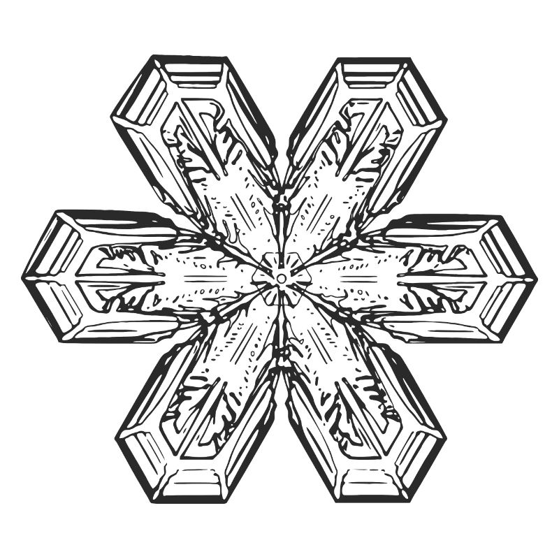 snowflake 1 black