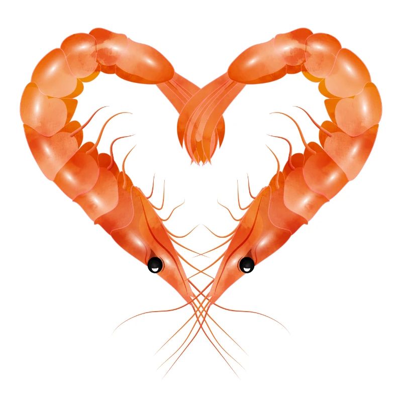 zwei Garnelen oder Shrimps in Herz Form gestaltet