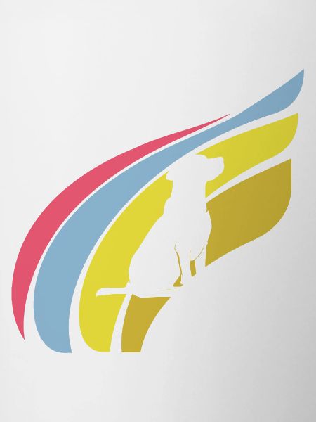 Dog Trainer Agility Dog Training