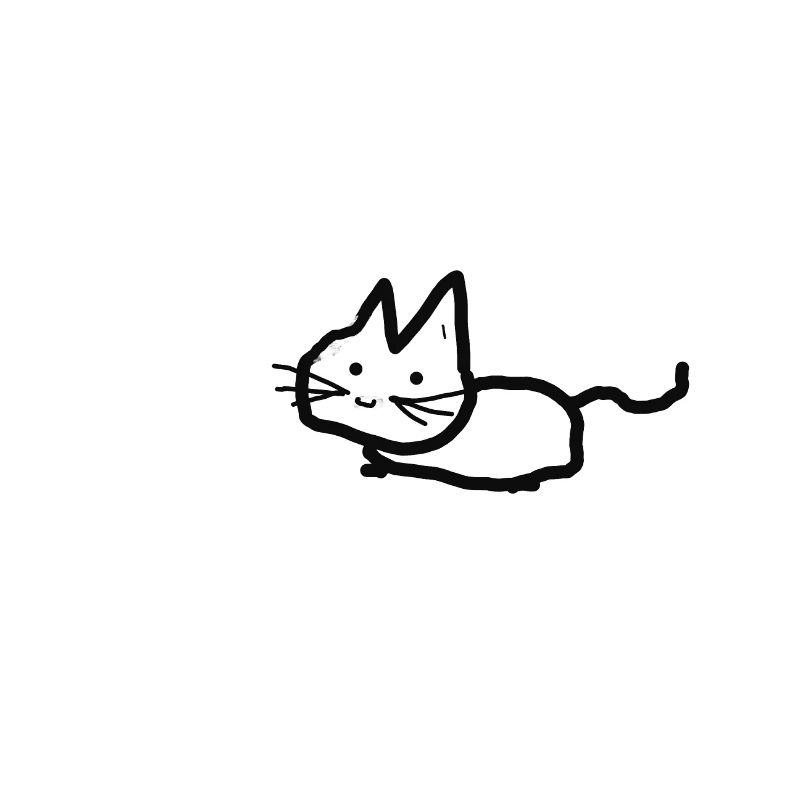 Cadeau chat chat