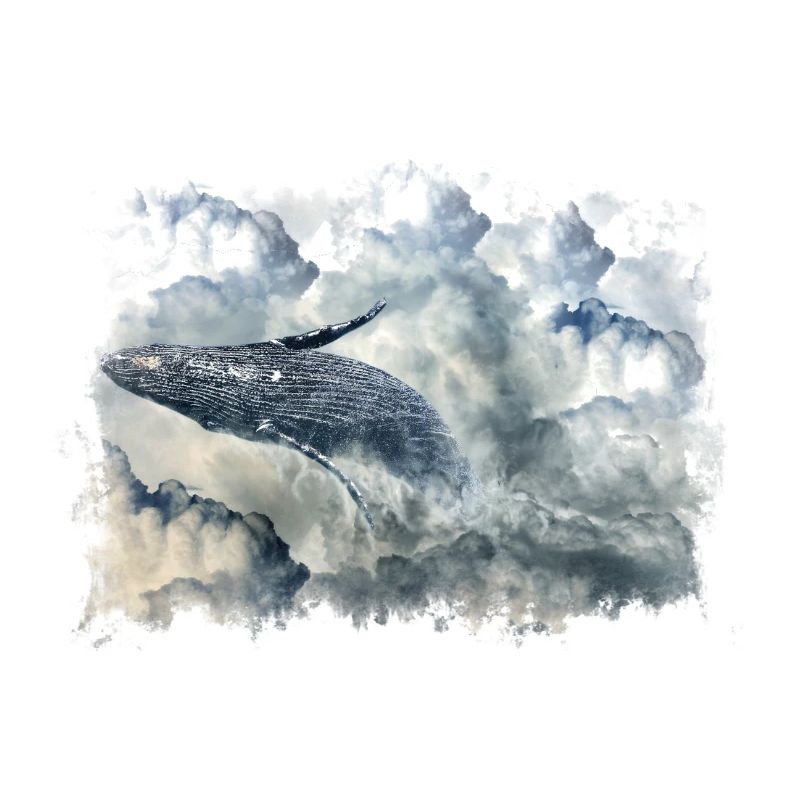 Wal in den Wolken