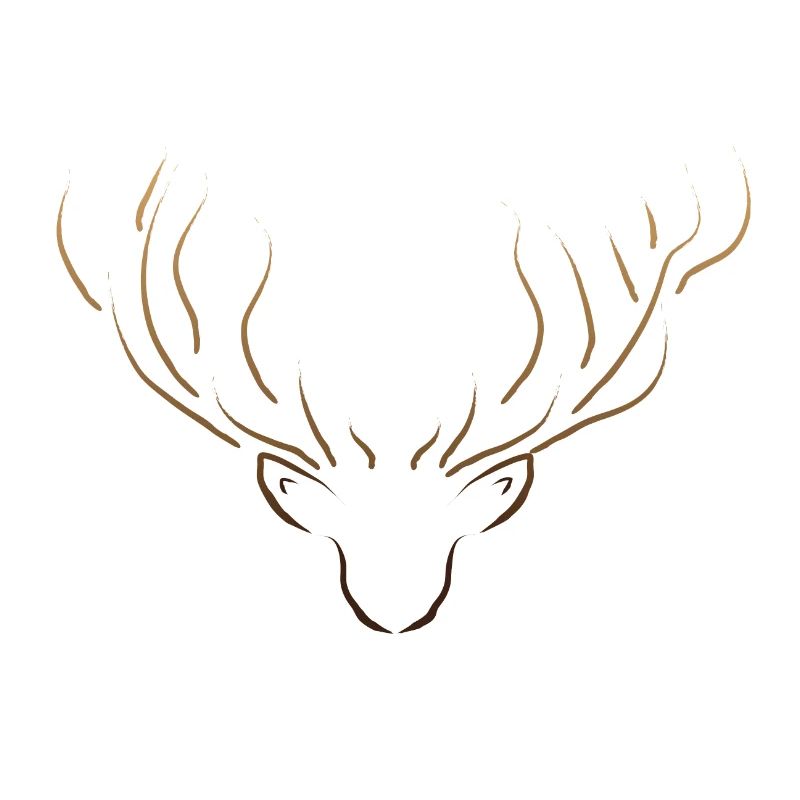 Cerf minimaliste