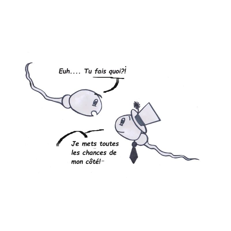 Le spermato élégant