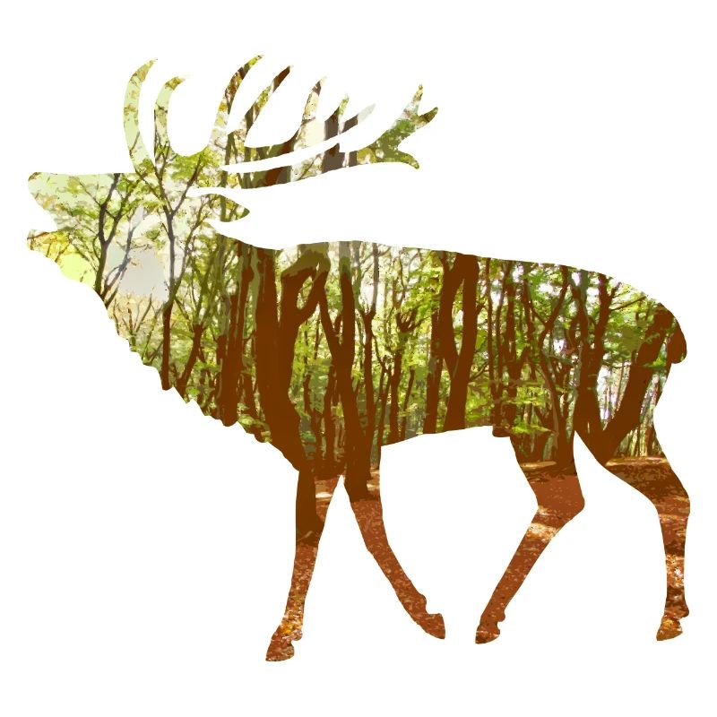 cerf