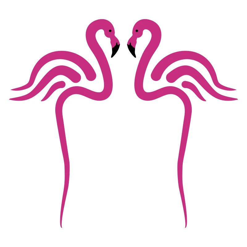 Flamingo, Flamingos