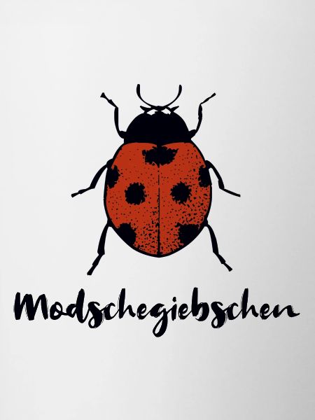 Modschegiebchen Marienkäfer Sächsisch Geschenk