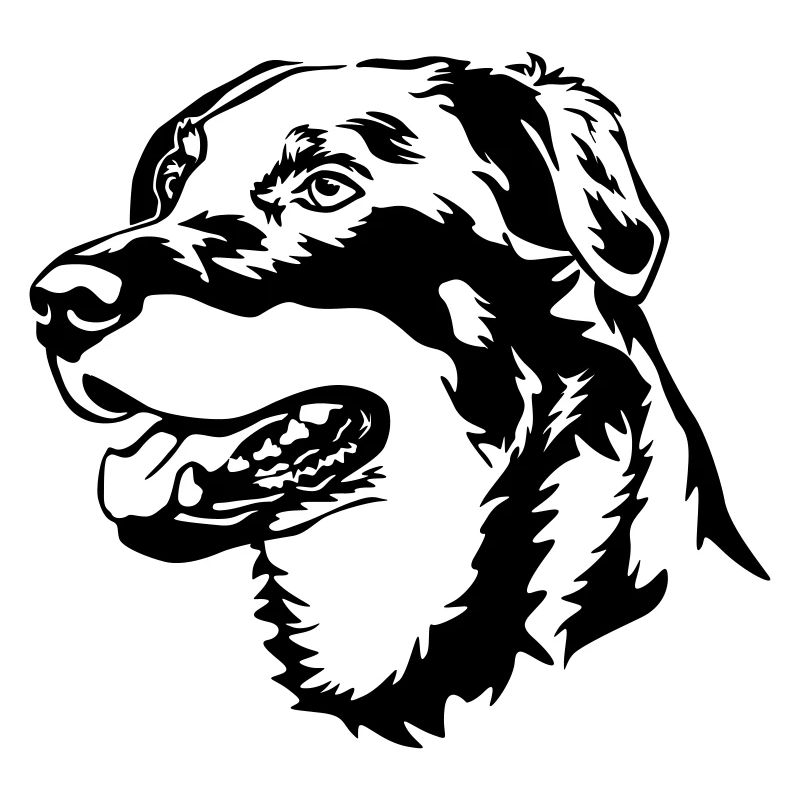Tête de Beauceron
