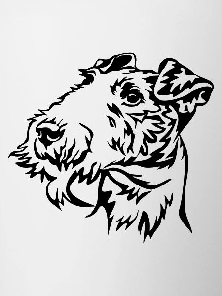 Tête de Fox terrier