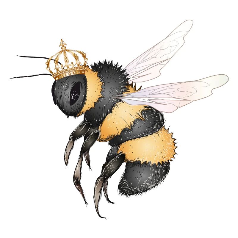 Dessin d’un bourdon volant avec couronne