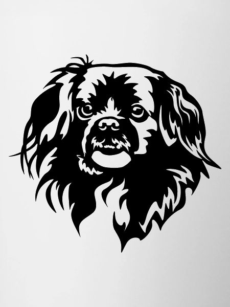 Tibetan Spaniel Head