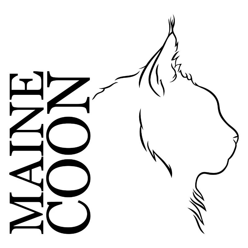 Maine Coon Profil Chats Chat Wilsigns