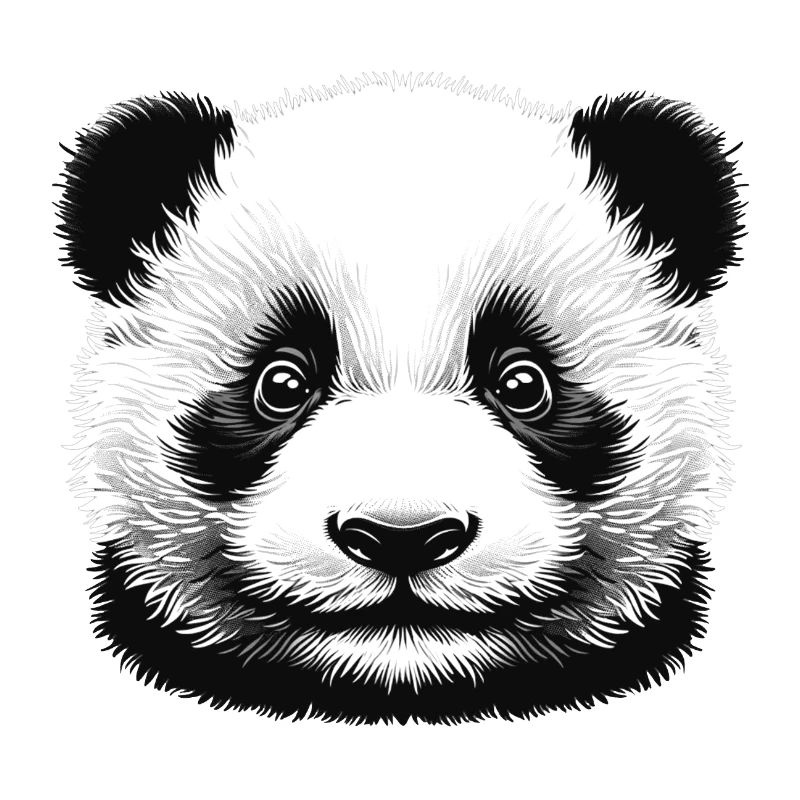 Pandas 🐼 Schwarz-Weiß-Panda-Gesichtskunst