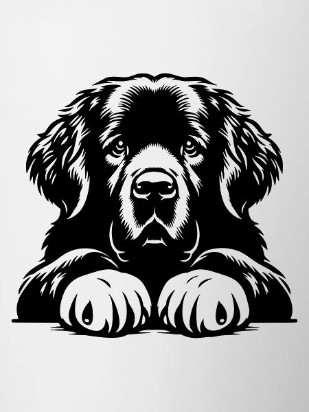 Newfoundland