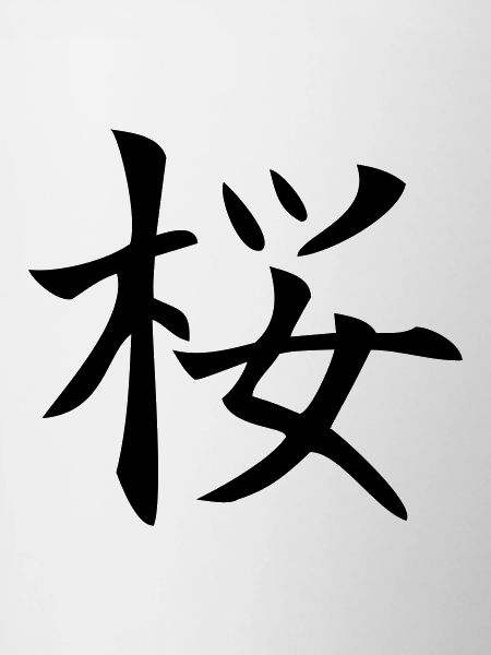 sakura / Kirschblüte