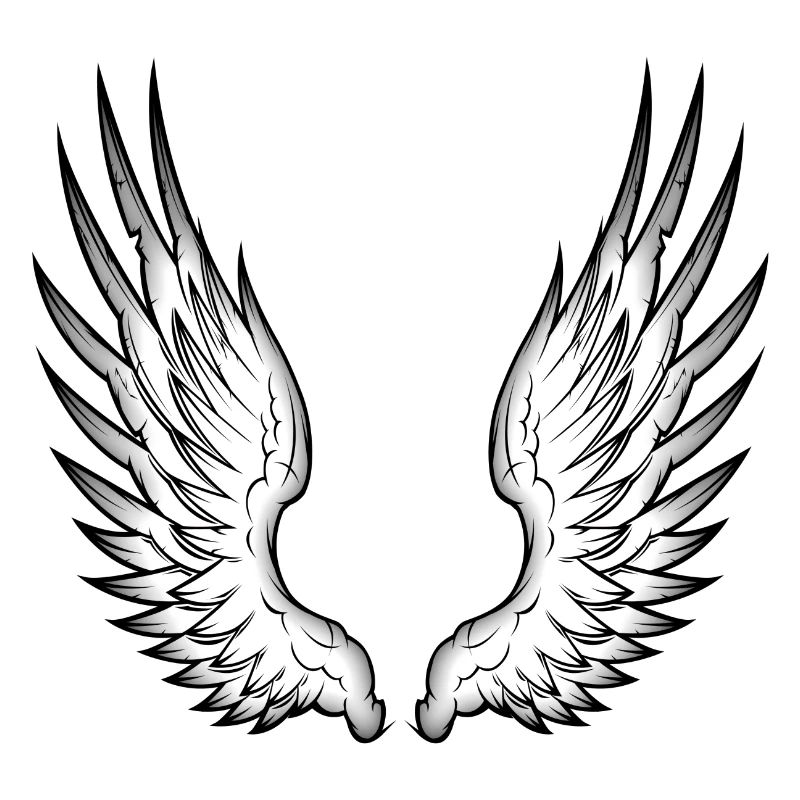 ailes d'ange