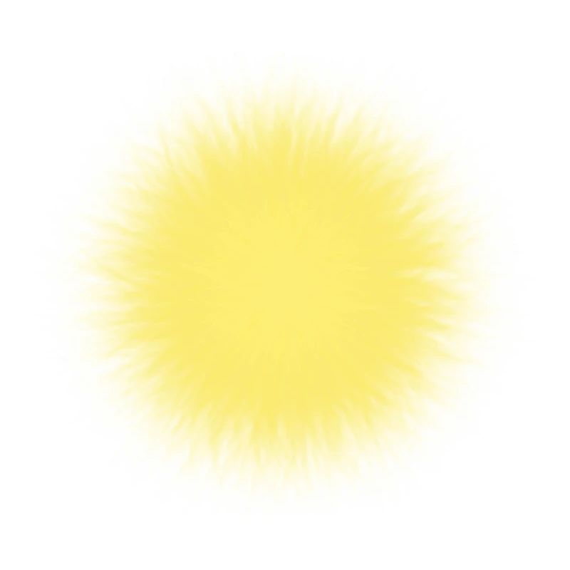 The sun