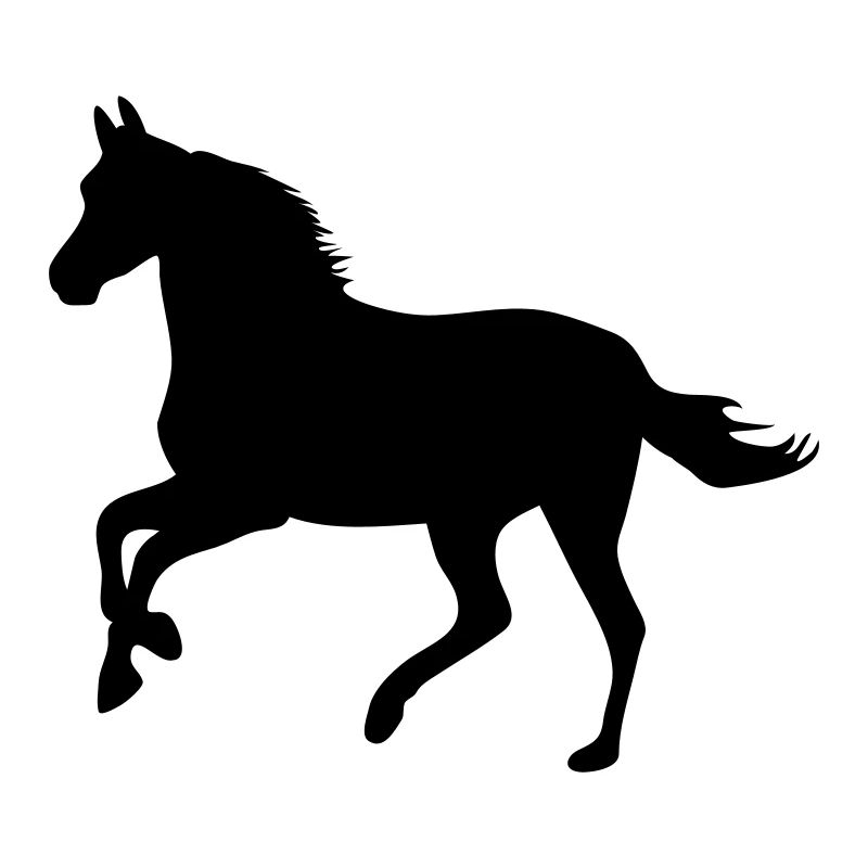 chevaux poney cheval de course cheval - poulain -