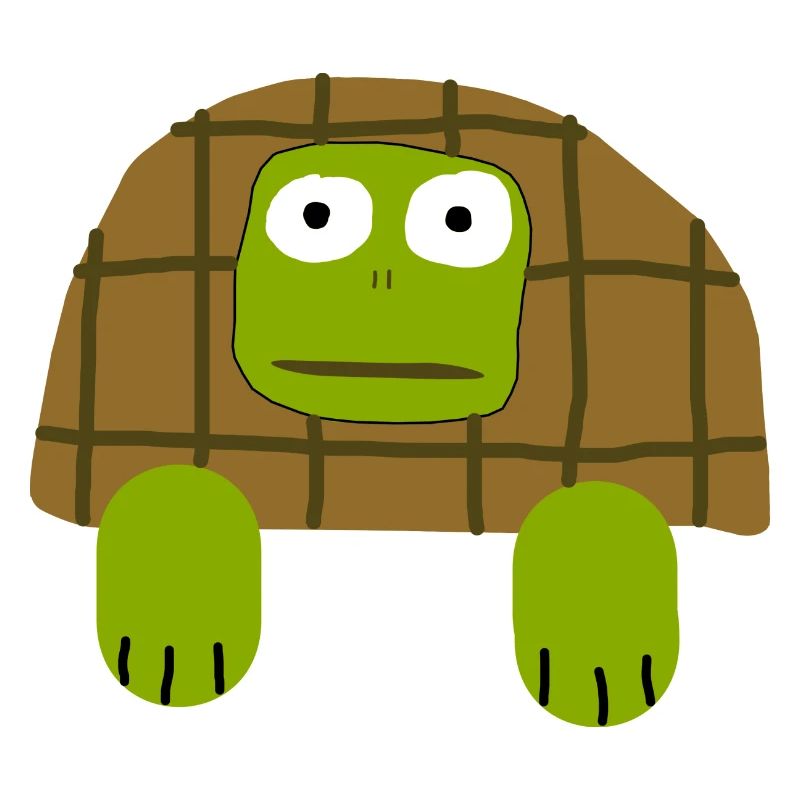 Ugly Turtle