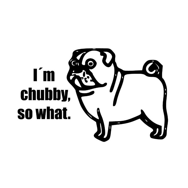 chubby pug - molliger Mops