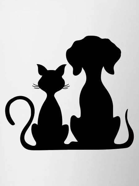chien et chat
