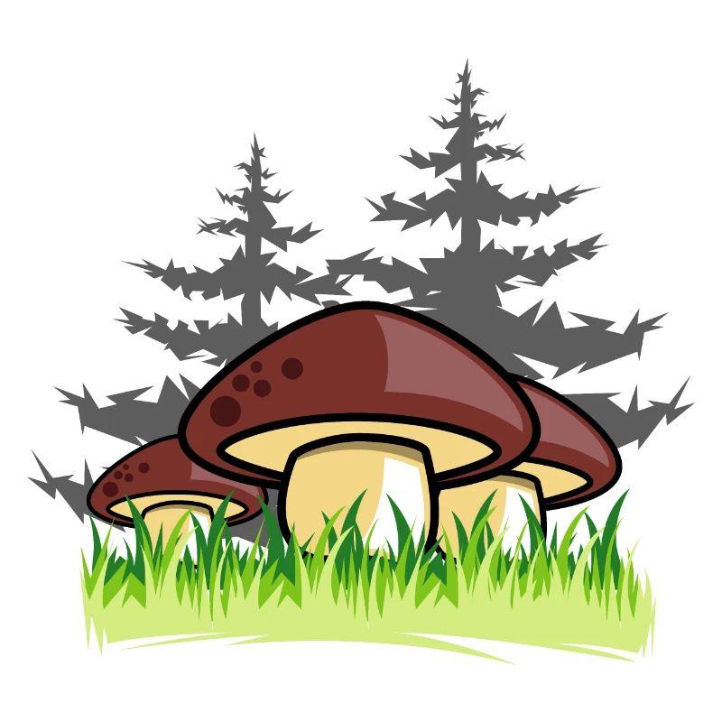 pilze wald natur geschenkidee