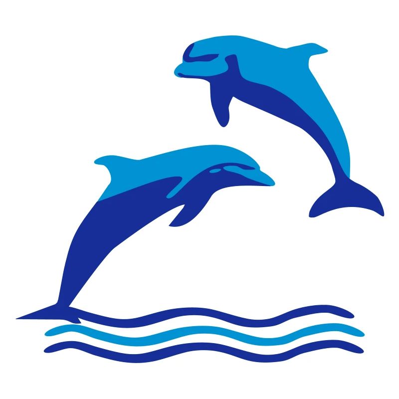 Dolphins & Waves, Dolphin