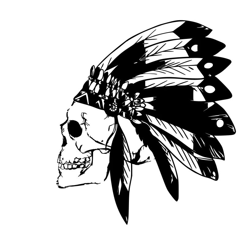 Chef de plumes - crâne