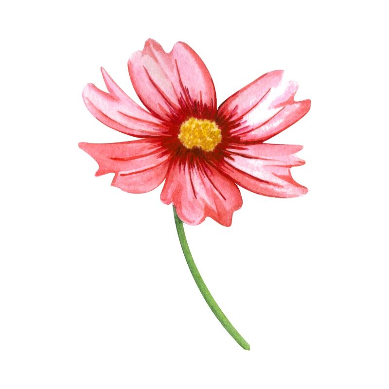 fleur