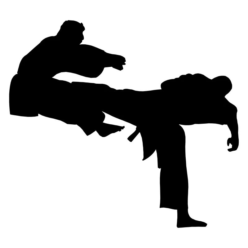 Kick geri kick karaté