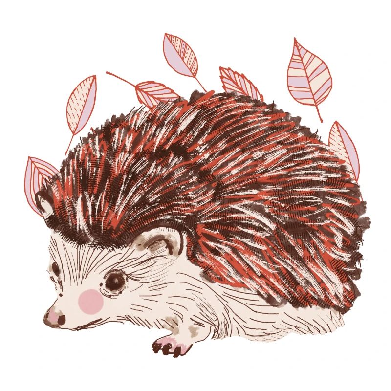 Hérisson d’automne avec un accent de fourrure rouge