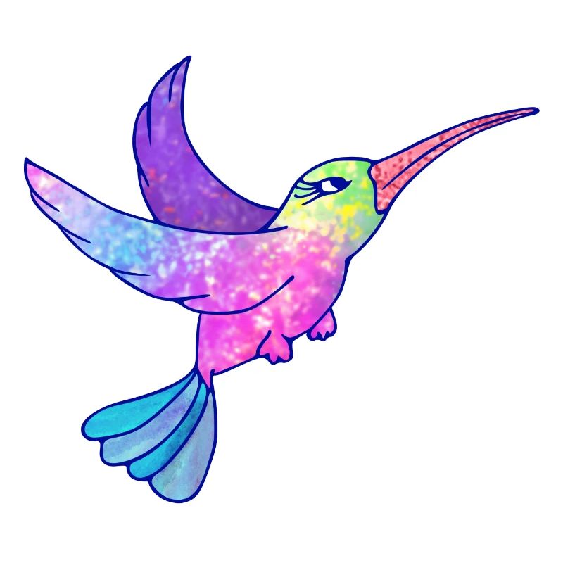 Colibri oiseau mignon animaux