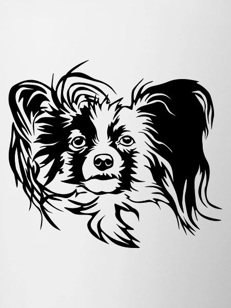 Papillon tête