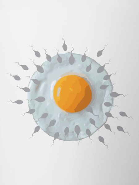 Frühstücksei