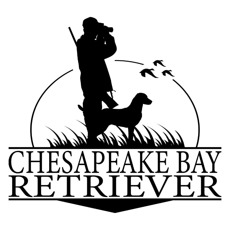 CHESAPEAKE BAY RETRIEVER Chiens de chasse Hunter Wilsigns