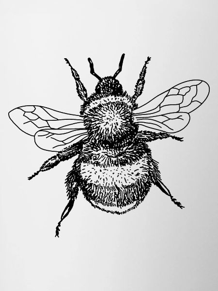 Abeille