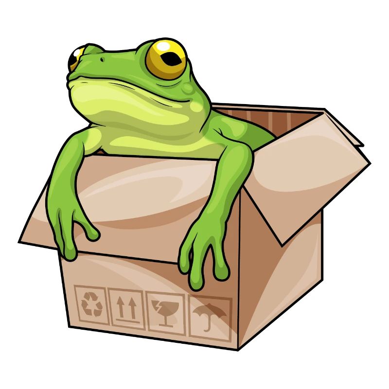 Frosch Karton